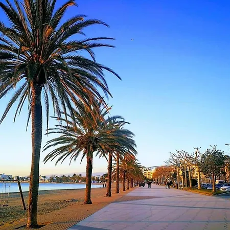 En 5-6 Personas, 2ª Linea De Playa, Terraza, Parking, Sin Mascotas, Sabanas Incluidas - Es-258-41 Roses